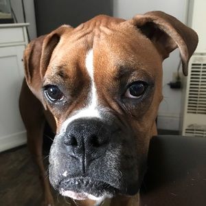 Meet your Posher, Lindsey